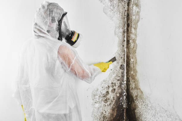 Best Mold Testing  in Grapevine, TX