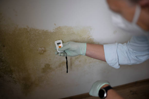 Best Commercial Mold Removal  in Grapevine, TX