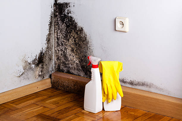 Crawl Space Mold Removal in Grapevine, TX