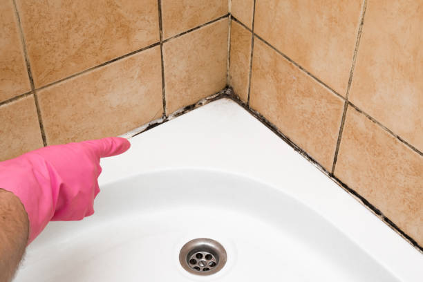 Best Crawl Space Mold Removal  in Grapevine, TX